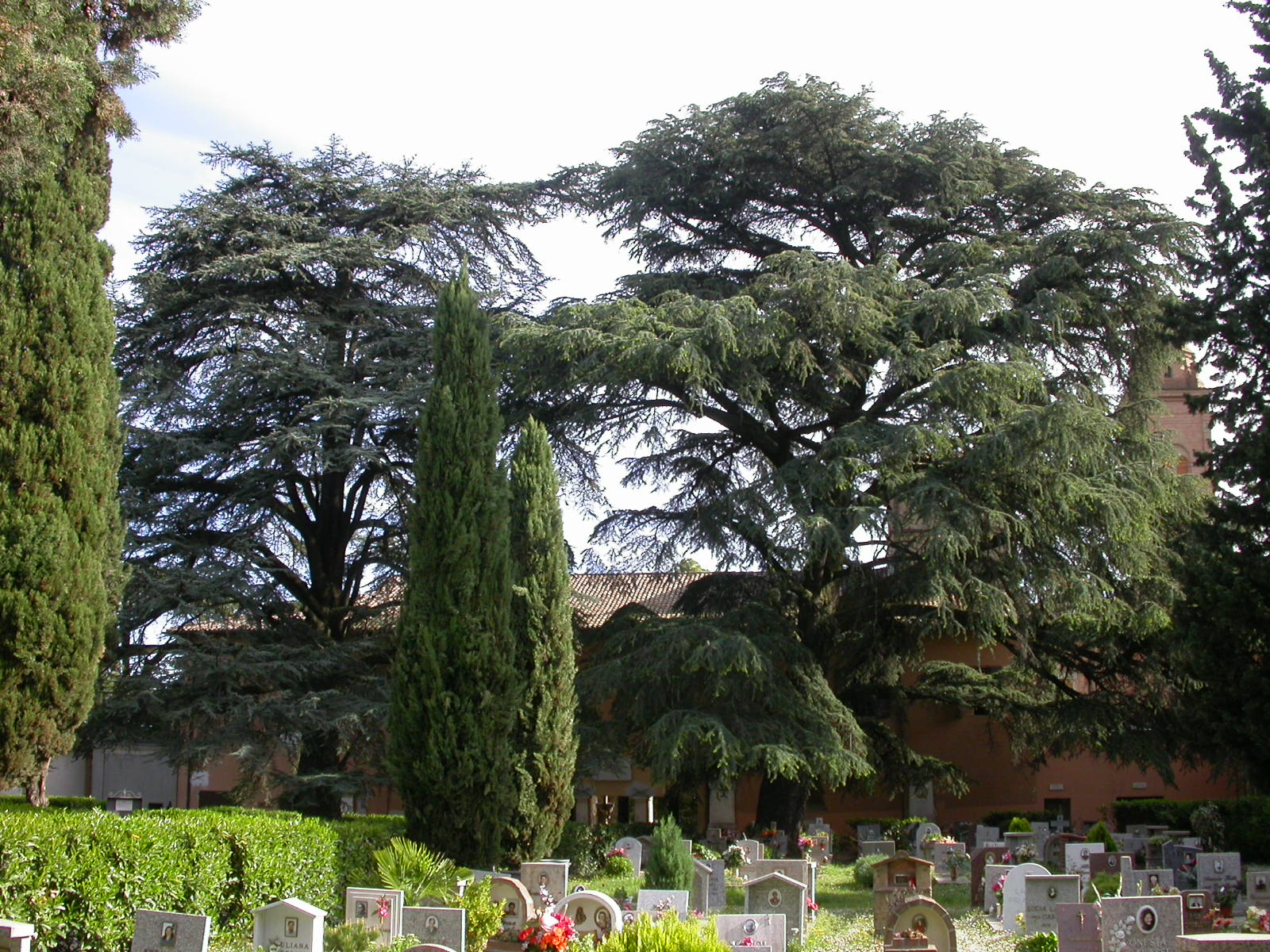 TG Cimitero Piratello 1 - Imola BO